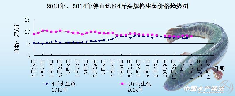 广东省的鱼消耗，生态、经济与文化视角的探讨