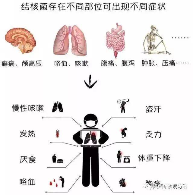 肺结核三个月能好吗，深度解析与科学认知