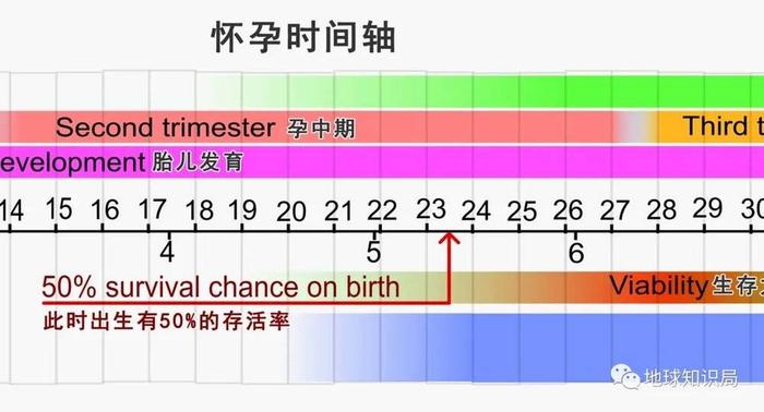 解读孕期时间轴，28周2天究竟是多少个月？