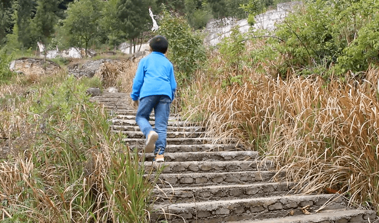 两岁十个月，孩子的成长与探索之路